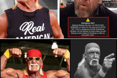 Summerslam in TROUBLE…WWE CANCELS Show…Hulk Hogan was DEVASTATED By Boos…Wrestling News