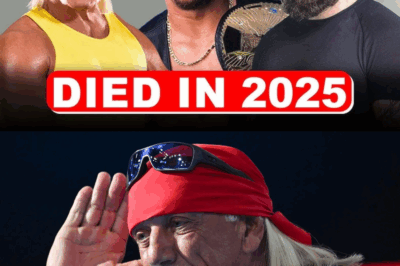 WWE Wrestlers Who Sadly Passed Away in 2025 – Remembering the Legends