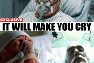 Hulk Hogan’s Final Words to His Daughter Before He Died Are Utterly Heartbreaking