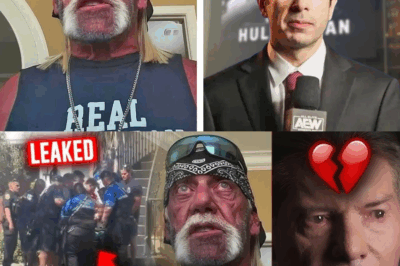 Hulk Hogan’s Final Days…Why AEW IGNORED Hulk Hogan’s Death…WWE Stars Onlyfans…Wrestling News