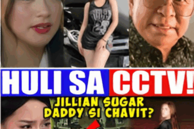 Ang Totoong Kwento sa Likod ng Isyu nina Jillian Ward at Chavit Singson