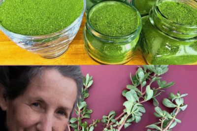 Purslane: The Underestimated Superfood with Maximum Health Benefits