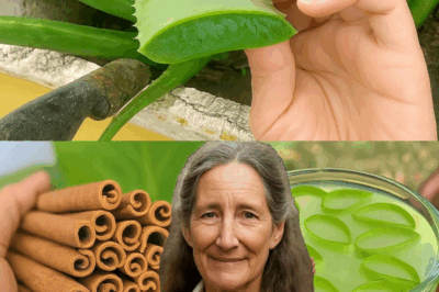  The Miracle Elixir: How Aloe Vera and Cinnamon Can Transform Your Health
