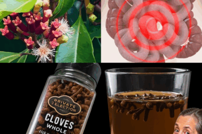  Chew Your Way to Better Health: The Surprising Power of Cloves