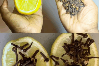 Discover the Powerful Benefits of Clove, Lemon, and Onion: A Natural Combination for Health and Home