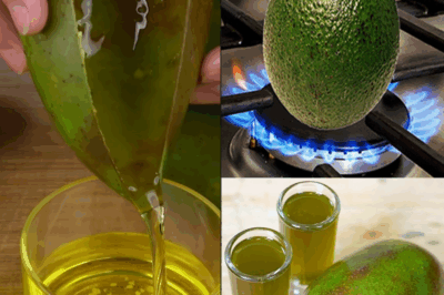 Here’s the secret why everyone puts avocados on the fire!
