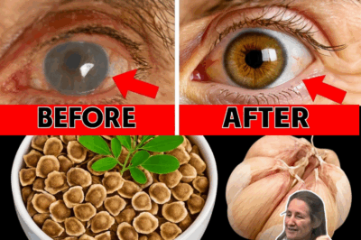  THE AGE-DEFYING PLATE: 17 Key Foods to Keep Senior Vision Sharp