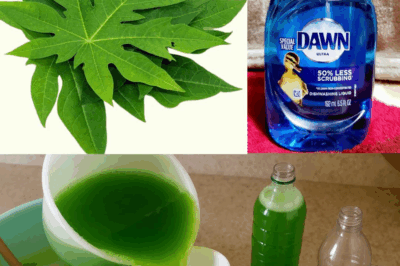 Turn Papaya Leaves Into a Powerful Homemade Detergent