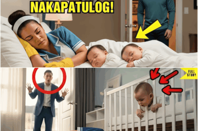 (PART 2) Bilyonaryo, Nagulat… Ang Kasambahay Lang Ang Nakapagpatulog Sa Anak Niya!
