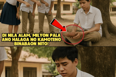 PROBINSYANONG BINATA, NILAIT SA MAYNILA DAHIL SA BAON NYANG KAMOTEDI NILA ALAM, MILYON PALA ANG…