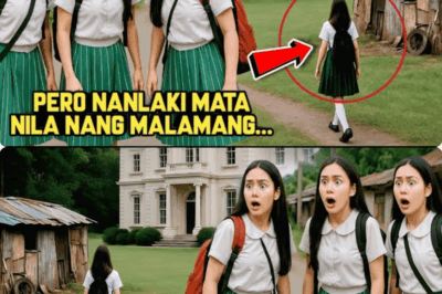 (PART 3: )SINUNDAN NILA ANG MAYABANG NA KAKLASE PARA MAKITA ANG MANSYON NITOPERO NANLAKI MATA NILA NANG…