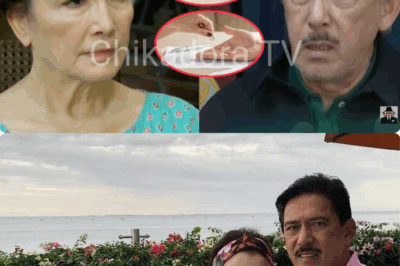 LAGOT NA! Helen Gamboa NAGFILE ng ANNULMENT kay Tito Sen dahil sa PANLOLOKO nito!