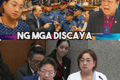 NAGULAT ang SENADO sa BAGONG REBELASYON ng MAG ASAWANG DISCAYA. BILLION PESOS FLOOD CONTROL PROJECTS