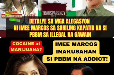 Detalye sa mga alegasyon ni Imee Marcos sa sariling kapatid na si PBBM sa illegal na gawain