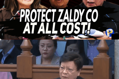 Zaldy Co sisiguraduhin ni Imee at Marcoleta na LIGTAS na makauuwi para tumestigo VS Romualdez, PBBM