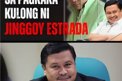 Bakit nakulong si Senator Jinngoy Estrada