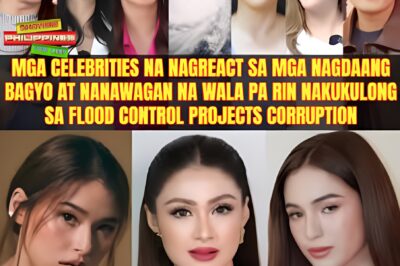 Mga celebrities nagreact sa mga nagdaang bagyo at wala pa rin nakukulong sa flood control corruption
