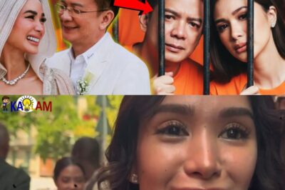 Damay Na! Heart Makukulong Din Ba Kung Makukulong si Chiz?