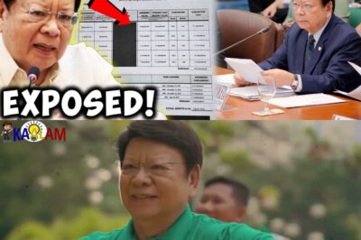 EXPOSED! Marcoleta Huli sa Pagsisinungaling sa Kaynyang SALN! May Secret Donors Pala!