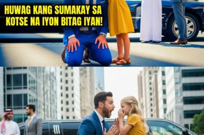 ISANG DALAGITANG PULUBI AY NAKARINIG SA DRIVER NA NAGSASALITA NG ARABIC… BINALAAN NIYA ANG MILYONARY