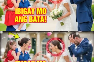 Kasambahay NAGULAT Sa Pag-aagaw Ng Bata Sa Kasal… ANAK NG MISTER PALA Ang Sinasaktan!