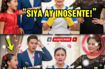 Kasambahay Inakusahan Na Magnanakaw Pero Anak Na Babae Ng Bilyonaryo Ang Naglantad Ng Totoong Salari