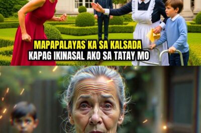 NAHULI NG MILYONARYO ANG KANYANG KATULONG NA IPINAGTATANGGOL ANG ANAK NIYANG MAY KAPANSANAN…