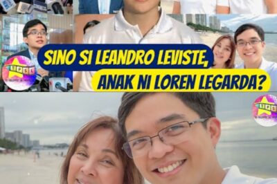 Sino si Leandro Leviste, anak ni Loren Legarda?