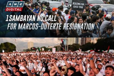 1Sambayan says no ‘resign all’ call in Nov. 30 protest | ANC