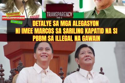 Detalye sa mga alegasyon ni Imee Marcos sa sariling kapatid na si PBBM sa illegal na gawain