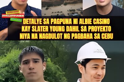 Detalye sa pagpuna ni Albie Casino kay Slater Young dahil sa proyekto na nagdulot ng pagbaha sa Cebu