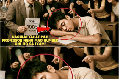 BINATANG KARGADOR SA PALENGKE, PINAGTAWANAN DAHIL LAGING NAKAKATULOG SA KLASENAGULAT LAHAT PATI…