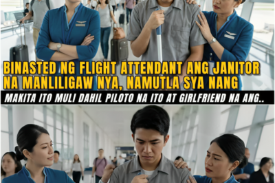Pinahiya at Binasted ng Flight Attendant ang Manliligaw na Janitor, After 5 Years Namutla Sya Nang