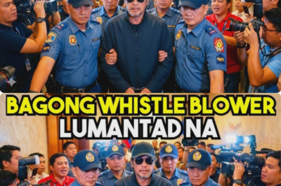 GRABE?! LUMABAS na ISANG WHISTLEBLOWER laban sa EX SENATOR. BILLION PESOS FUNDS