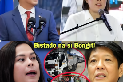 VP SARA DUTERTE, NAALARMA Ginagawang PANAKIP BUTAS ni BONGBONG MARCOS sa PAGNANAKAW nito sa KABAN!