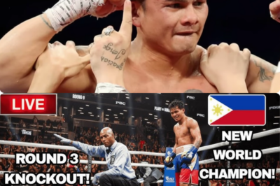 NEW FIGHT! | ROUND 3 KNOCKOUT ANG KALABAN NG PINOY! | NEW WORLD CHAMPION!