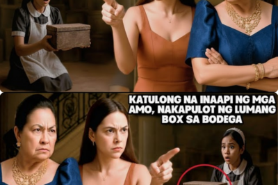 (PART 2:)KATULONG NA INAAPI NG MGA AMO, NAKAPULOT NG LUMANG BOX SA BODEGAANG NASA LOOB PALA NITO ANG MAGPAPAB