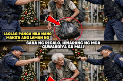 “MATANDANG MAGBOBOTE NA BIBILI SANA NG REGALO, HINARANG NG MGA GUWARDIYA SA MALL — PAHIYA SILA NANG…”