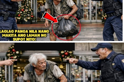 MATANDANG MAGBOBOTE NA BIBILI SANA NG REGALO, HINARANG NG MGA GUWARDIYA SA MALL PAHIYA SILA NANG…