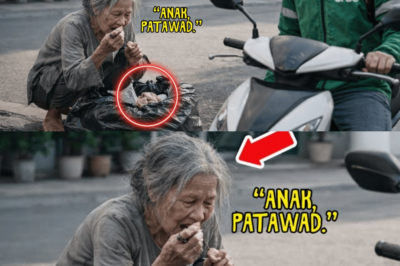 Pinagtawanan ang Lola Bilang Baliw—Pero Siya ang Nawawalang Ina ng Isang CEO!
