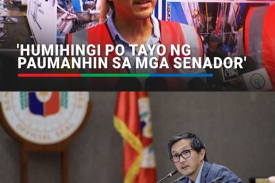 Vince Dizon apologizes to Senate