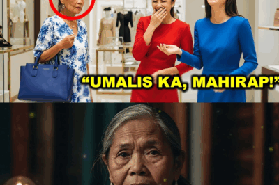 “Inalipusta ang Simpleng Babae sa Mamahaling Tindahan — Ngunit Dumating ang Anak Niyang Milyonaryo para Ibalik ang Kanyang Dignidad!”