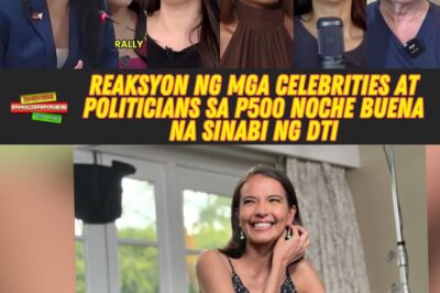 Mga Celebrities Na Nadismaya At Nagreact Sa P500 Noche Buena Na Sinabi Ng DTI