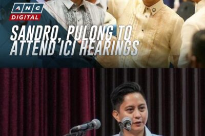 Sandro Marcos, Paolo Duterte invited as resource persons in ICI hearings