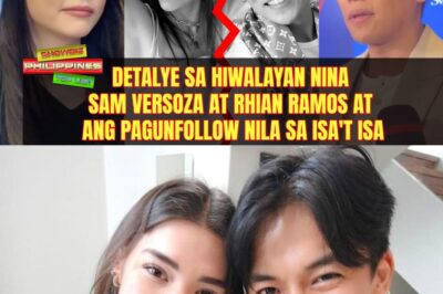 Detalye sa hiwalayan nina Sam Versoza at Rhian Ramos at ang pagunfollow nila sa isa’t isa