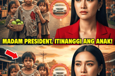 “Batang Nagbenta ng Mangga at Kambal, Naghatid ng Ulan ng Luha sa Milyonaryo sa Isang Pagsusulat sa Kalsada!”