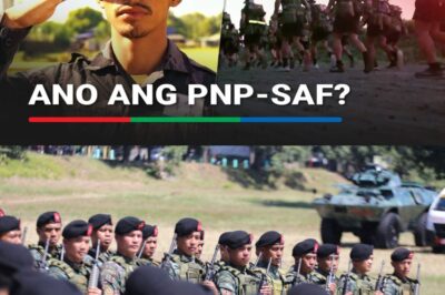 Commando: Bakit ‘special’ ang PNP-Special Action Force?