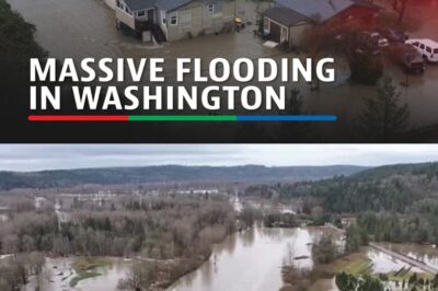 Drone footage captures flooding damage in Pacific Northwest as Washington issues warning