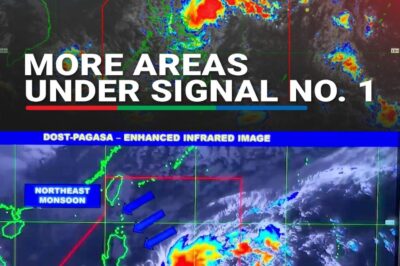 ‘Wilma’ napanatili ang lakas; Signal No. 1 sa ilang lugar sa bansa