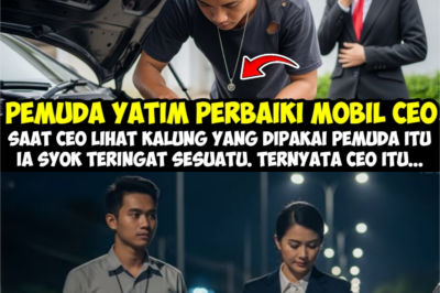 Pemuda Yatim Selamatkan Ceo perempuan Mogok, Namun Saat CEO Melihat Kalung Pemuda Itu, Ternyata…